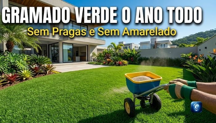 Como Cuidar de Gramado para Ficar Verde e Sem Pragas o Ano Todo